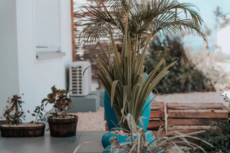 Greens & Outdoors at BESTECH PARK VIEW ANANDA, Sector 81, Gurgaon