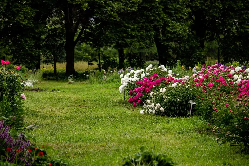 Greens & Outdoors at BESTECH PARK VIEW RESIDENCES, Sector 66, Mohali