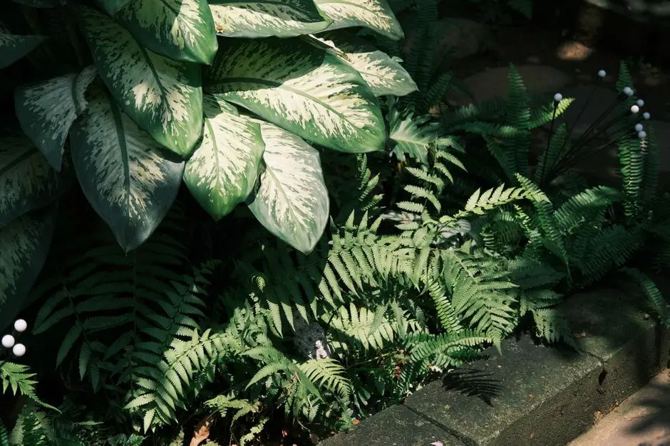 Greens & Outdoors at BESTECH CITYGATE, Sector 81A, Gurgaon